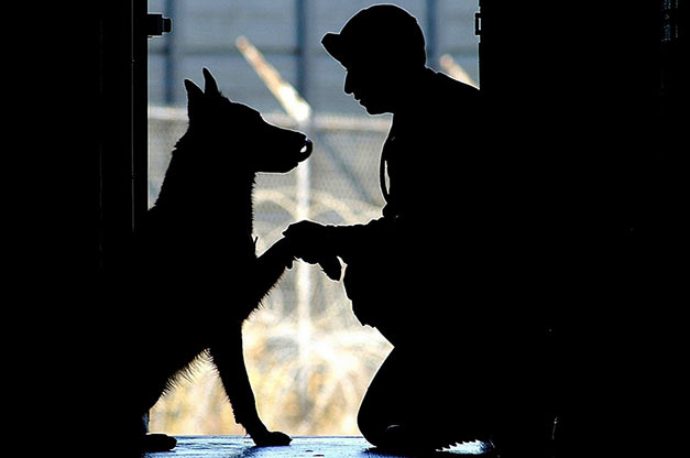 silhouette of man and service dog